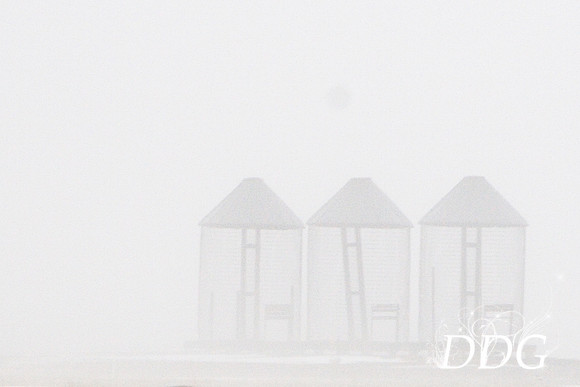 Foggy Trio 20x30