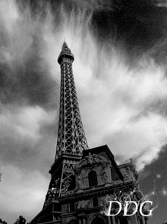Vegas Fake out 20x30