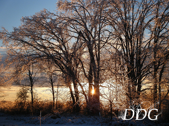 DSCF0056