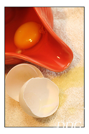 egg Actly 8x12
