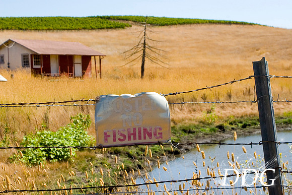 Gone Fishing 20x30